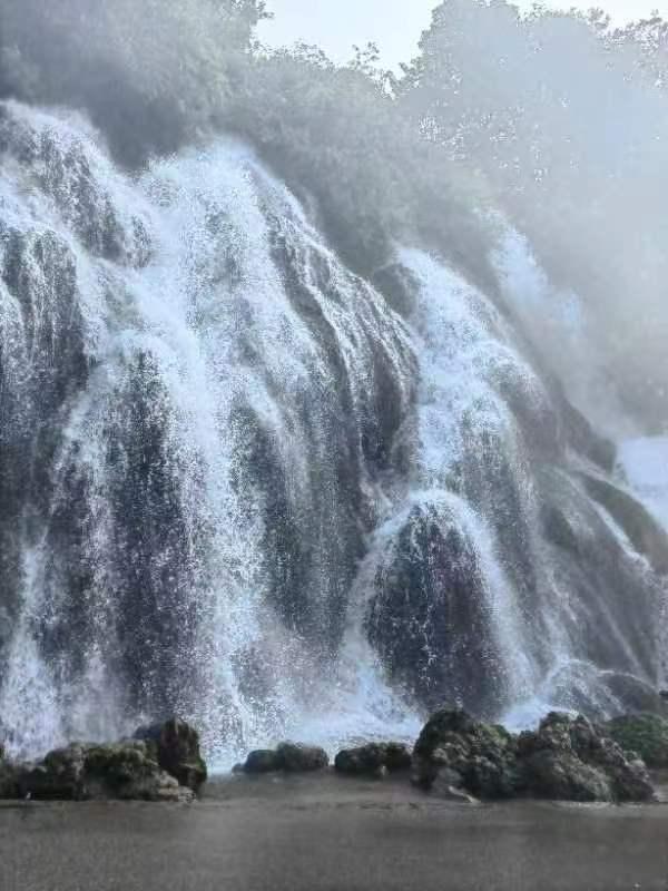 饿狮救援