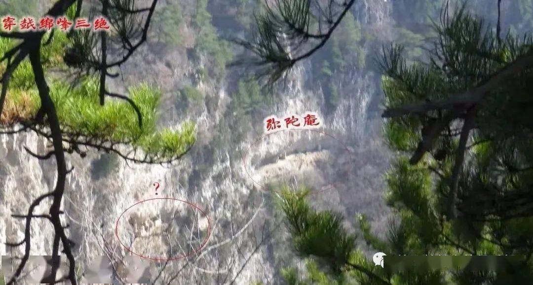 逗小猴开心系列209