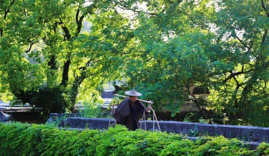 救援淘气的小狗