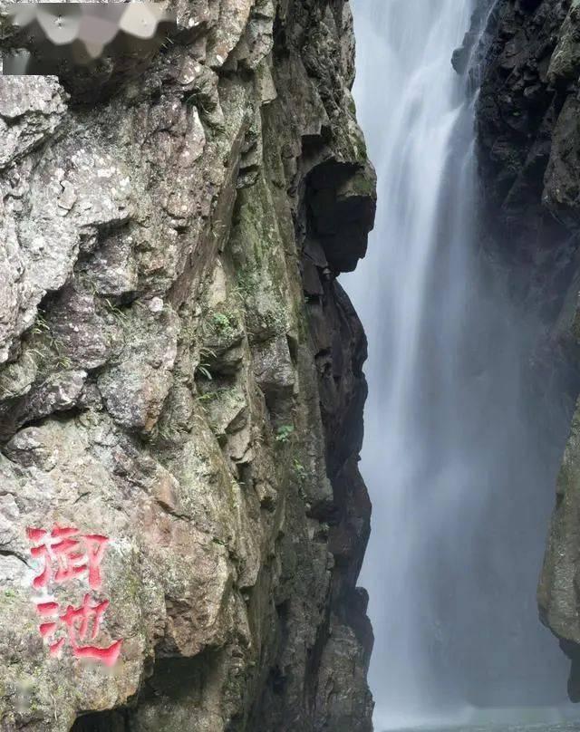估值超50亿美元 “美版贴吧”备战IPO