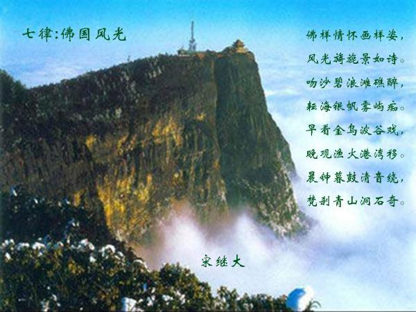 “他要回来了吗？”特朗普的“幽灵”笼罩达沃斯